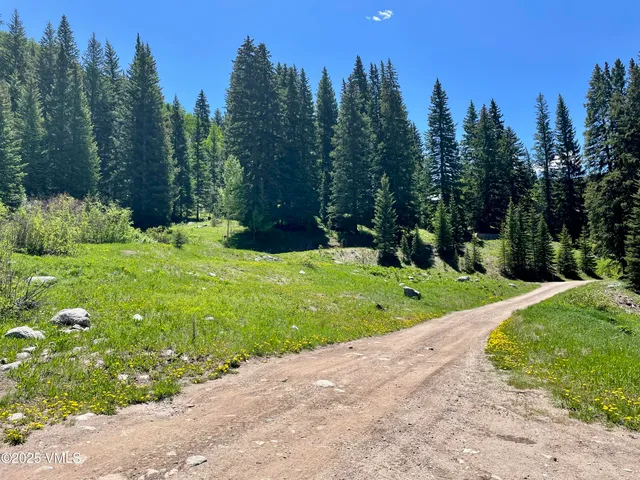 a view of outdoor space with green field and trees in the background