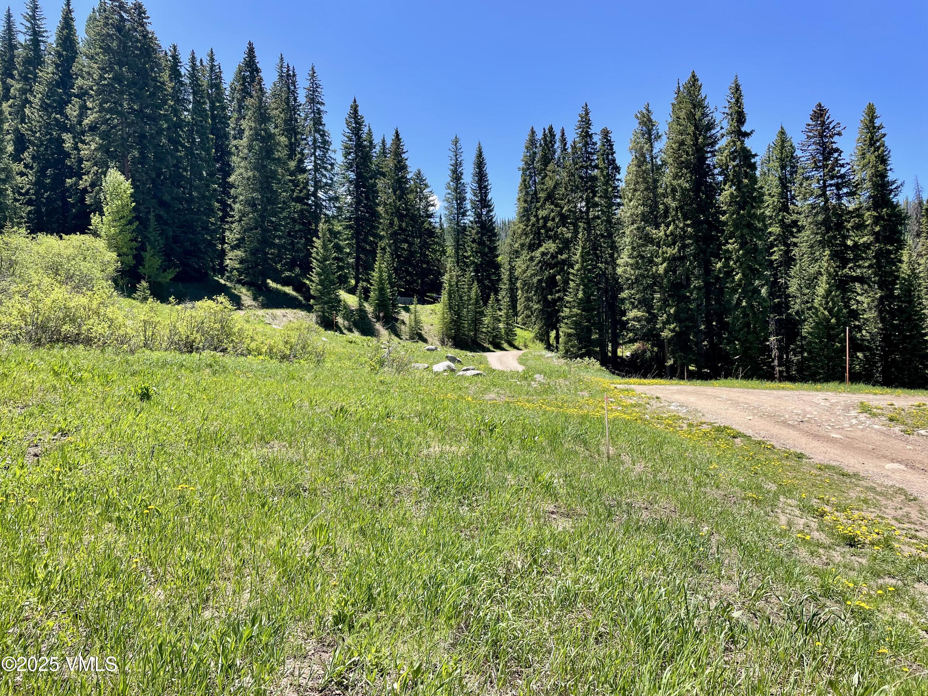 1 8th Eagle, CO 81631 - Photo 7 of 13 a view of outdoor space with green field and trees in the background