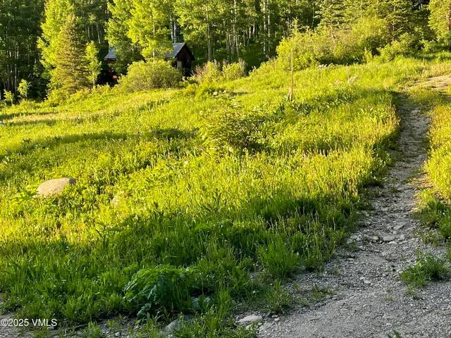 a view of an outdoor space and a yard