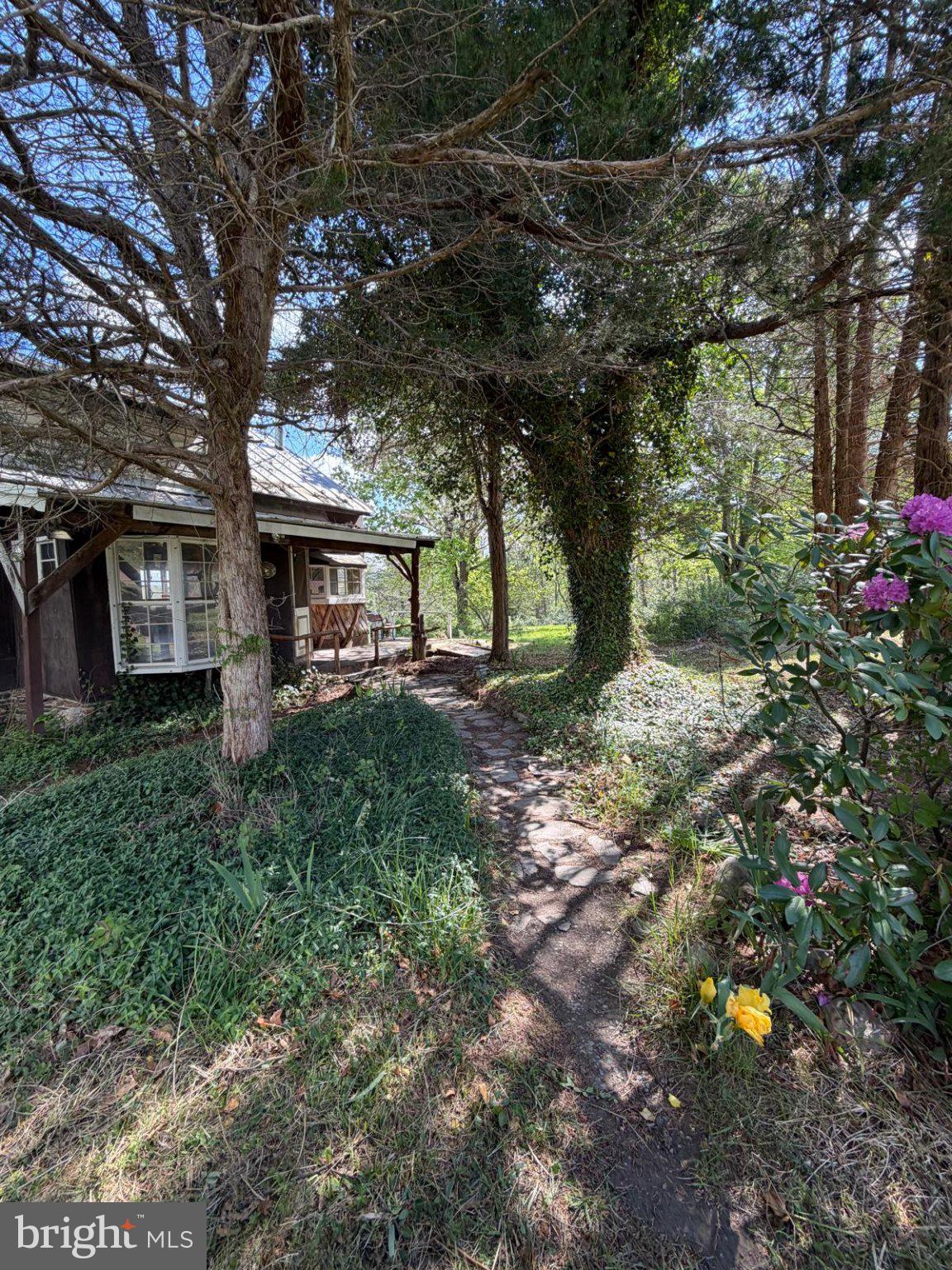 986 Rushing River Road Augusta, WV 26704 - Photo 2 of 56 Charming path through lush greenery.