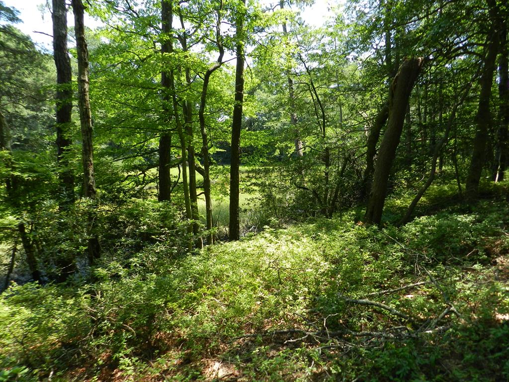Lot B5 Saltworks Road, Unit B5 Exmore, VA 23350 - Photo 11 of 16