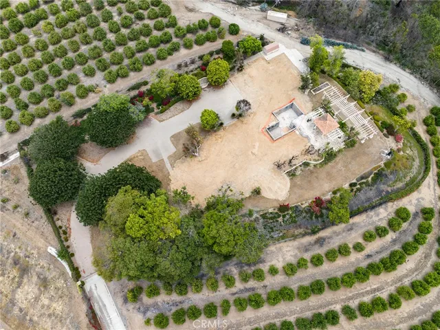 a view of a garden with a lot of flower plants