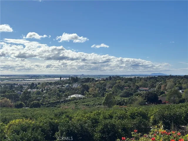 a view of a bunch of trees in background