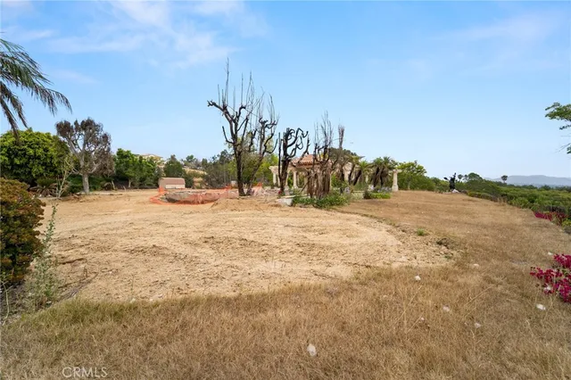 a view of tall trees with an outdoor space