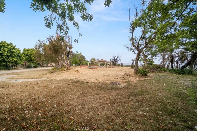 a view of dirt field with trees in background