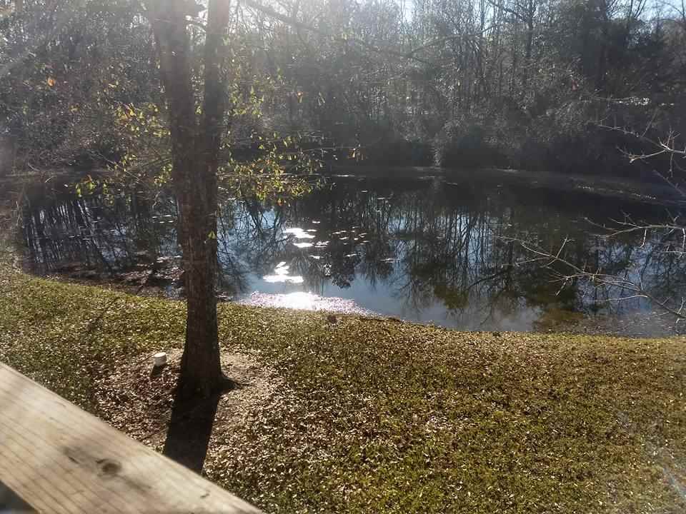 21209 Oak Ridge Drive Robertsdale, AL 36567 - Photo 7 of 28
