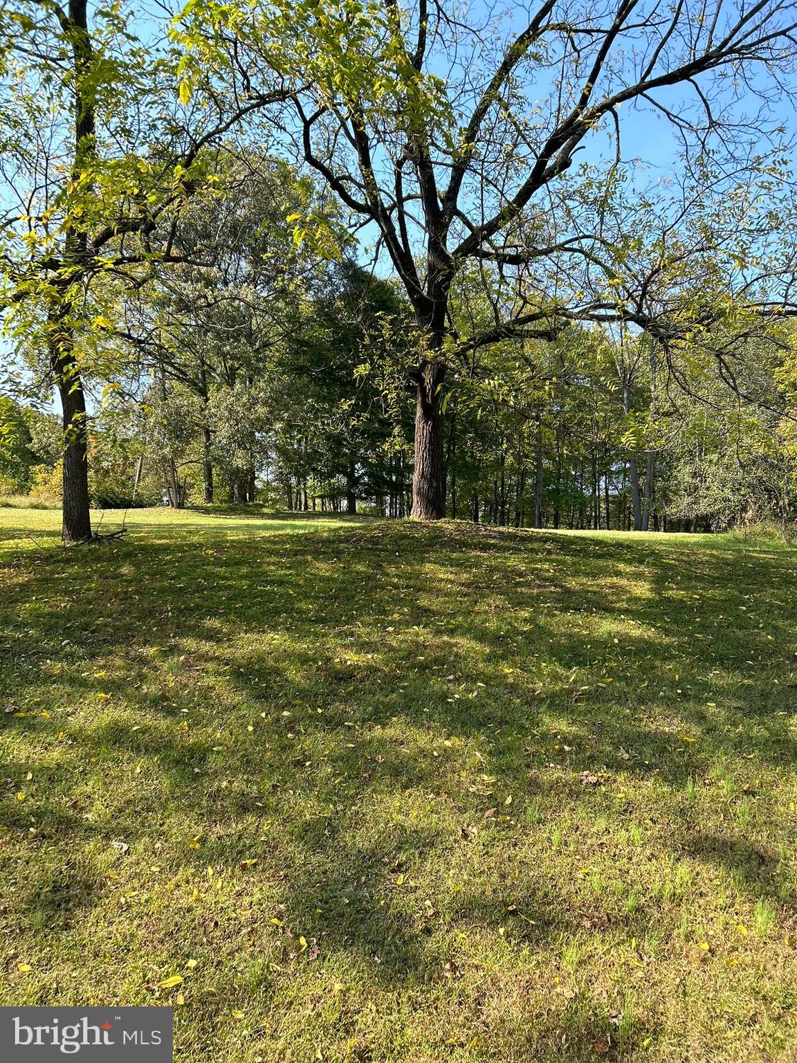 205 King James Road Upper Marlboro, MD 20774 - Photo 3 of 6