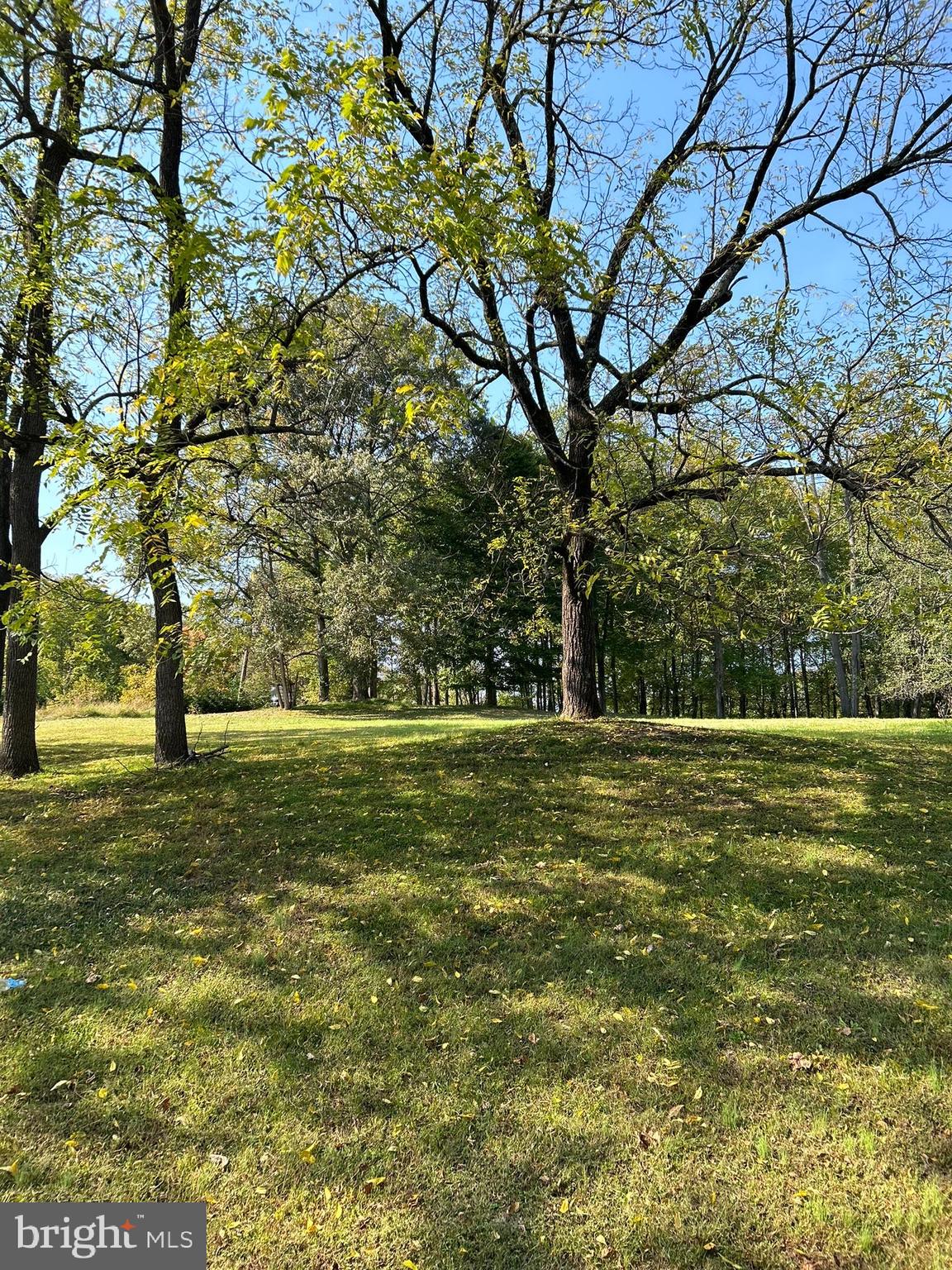 205 King James Road Upper Marlboro, MD 20774 - Photo 4 of 6