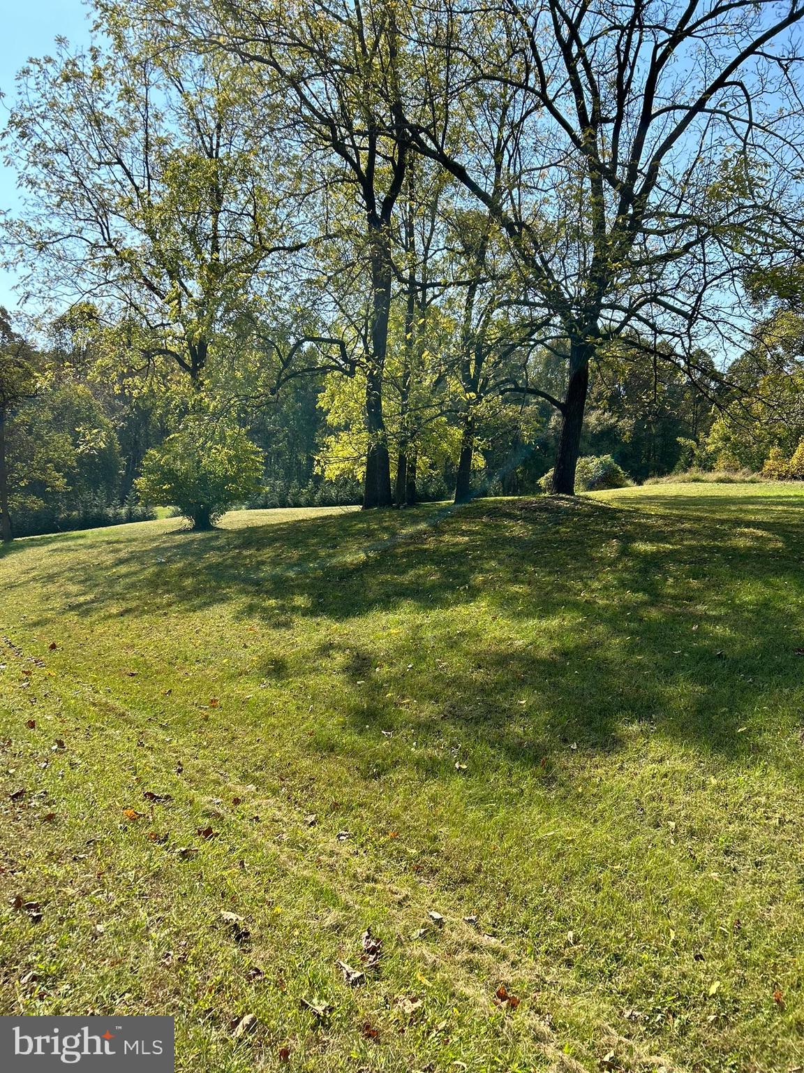 205 King James Road Upper Marlboro, MD 20774 - Photo 6 of 6