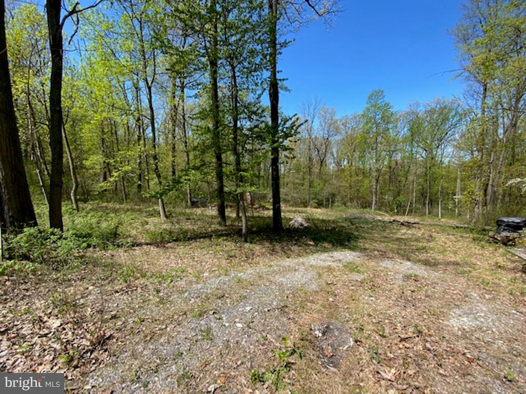 762 North High Rock Rd Spring Grove Pa Hanover, PA 17331 - Photo 2 of 6