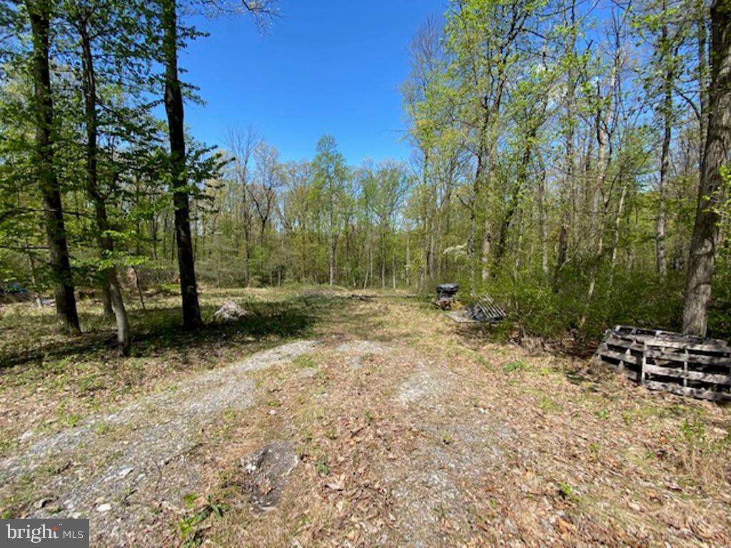 762 North High Rock Rd Spring Grove Pa Hanover, PA 17331 - Photo 3 of 6