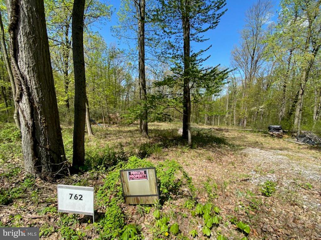 762 North High Rock Rd Spring Grove Pa Hanover, PA 17331 - Photo 6 of 6