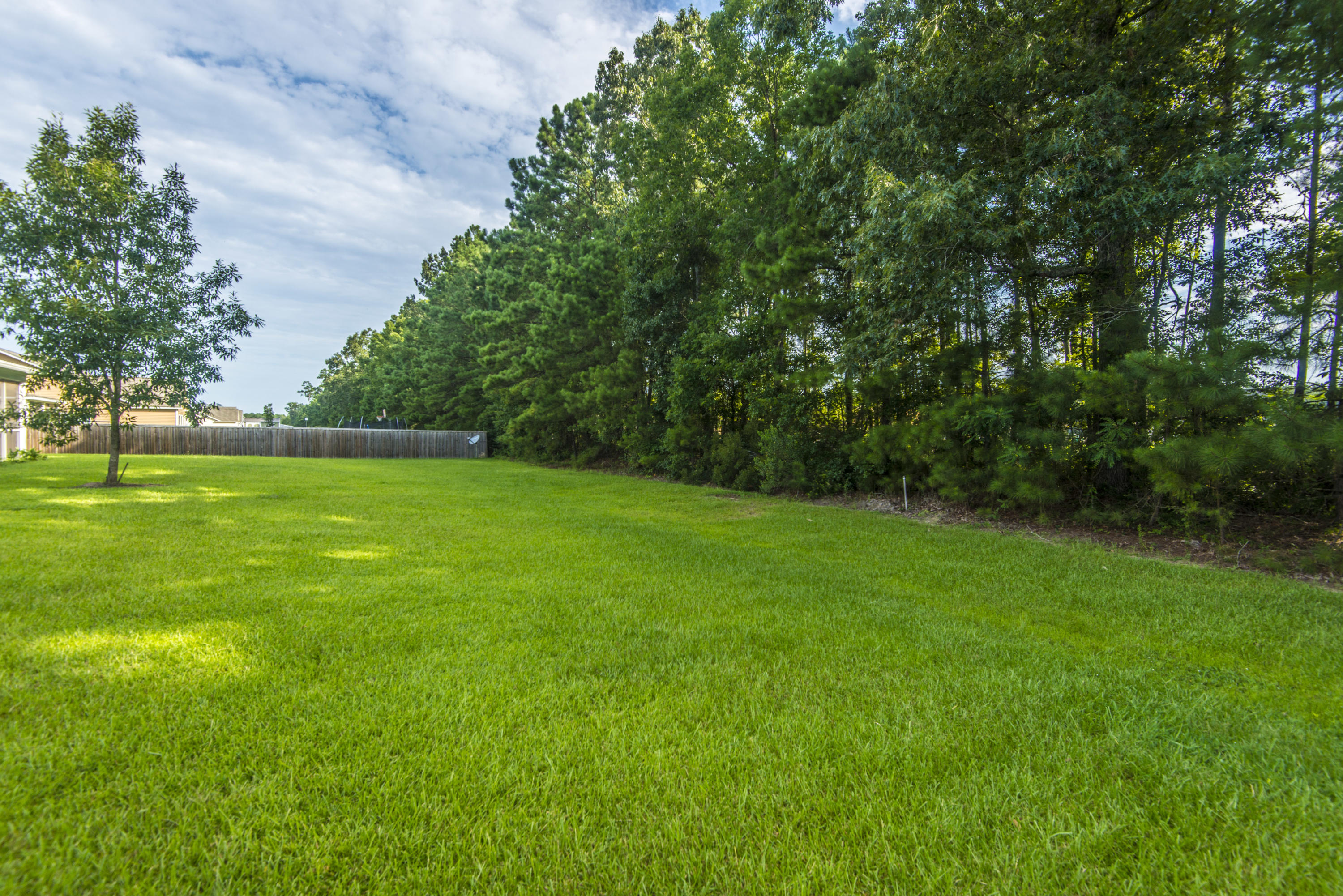 110 Cypress Plantation Road Moncks Corner, SC 29461 - Photo 39 of 54 _DSC9838 - Copy