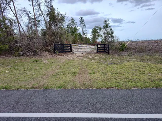 $290,000 | Cr-53, Mayo, FL 32066