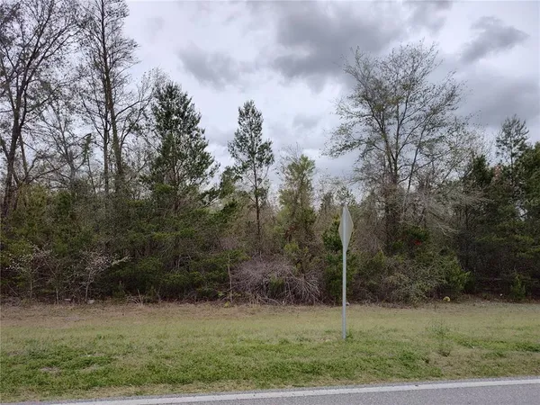 $278,000 | Cr-53, Mayo, FL 32066