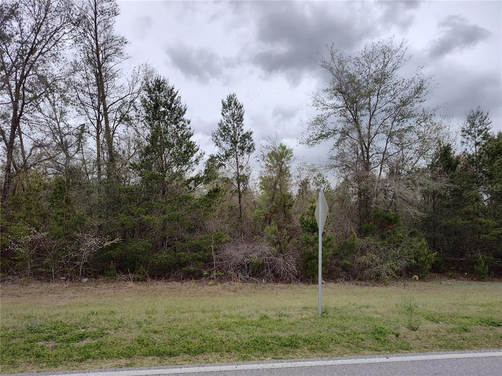 Cr-53 Mayo, FL 32066 - Photo 9 of 11 a view of a field