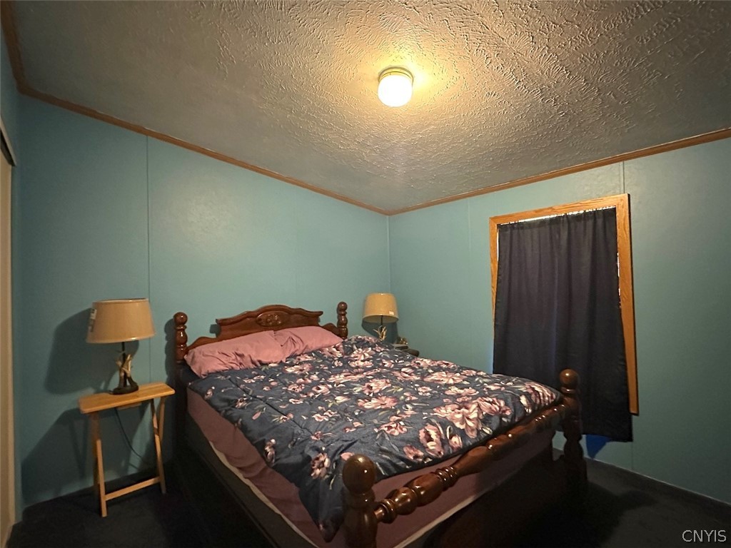 4339 Back River Road Amity, NY 14880 - Photo 16 of 34