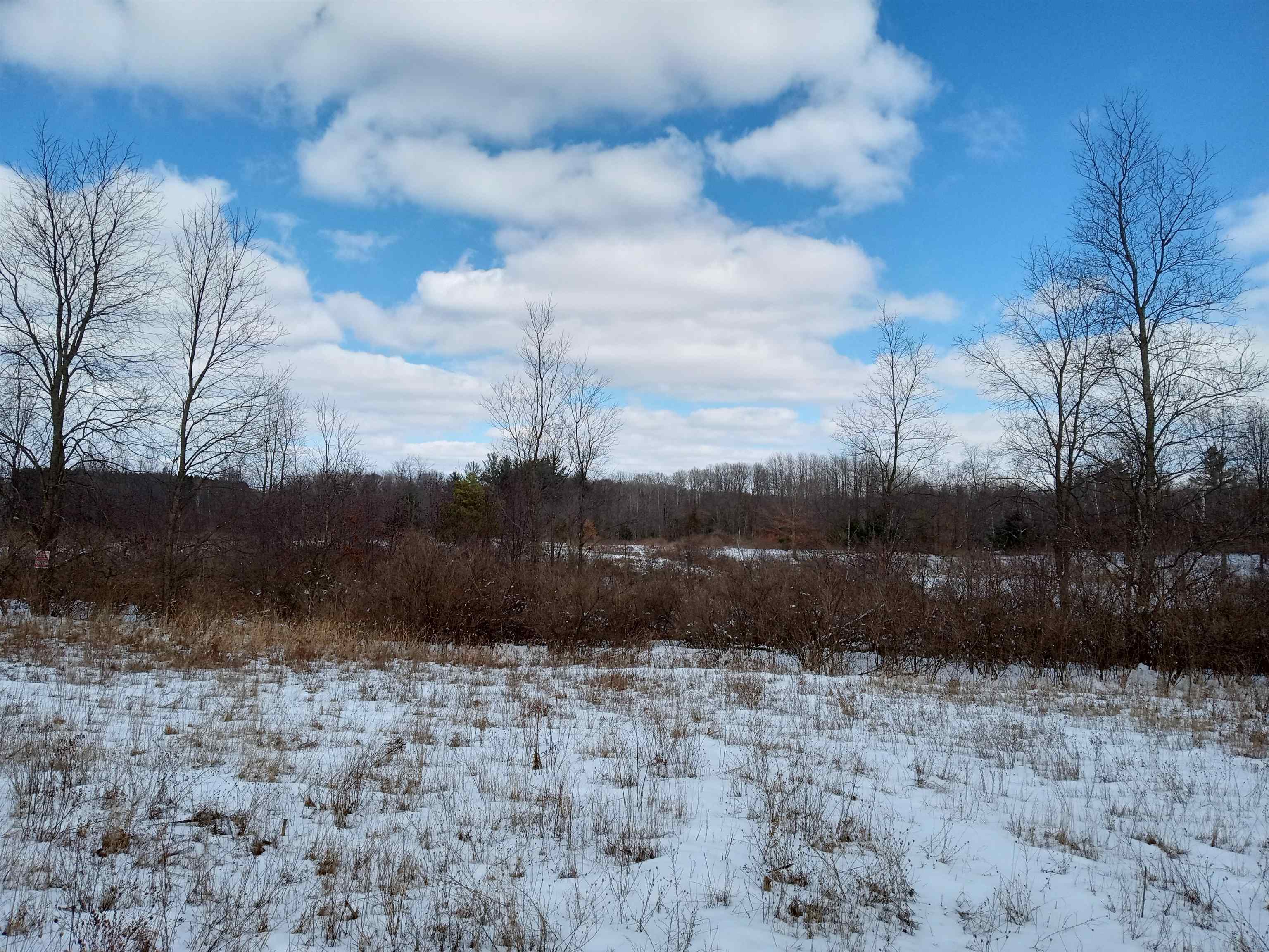 Tbd Roosevelt Road Remus, MI 49340 - Photo 9 of 27 1897397-8.JPG