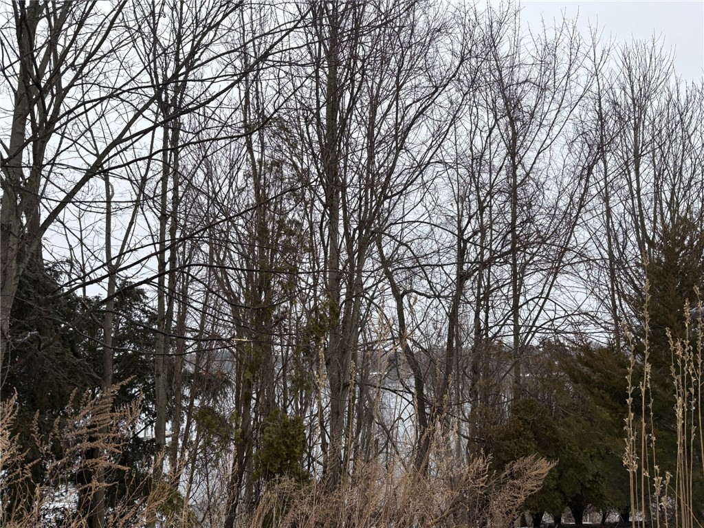 351 County Road Barrington, RI 02806 - Photo 14 of 15