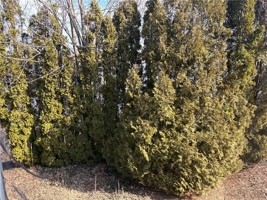 351 County Road Barrington, RI 02806 - Photo 15 of 15