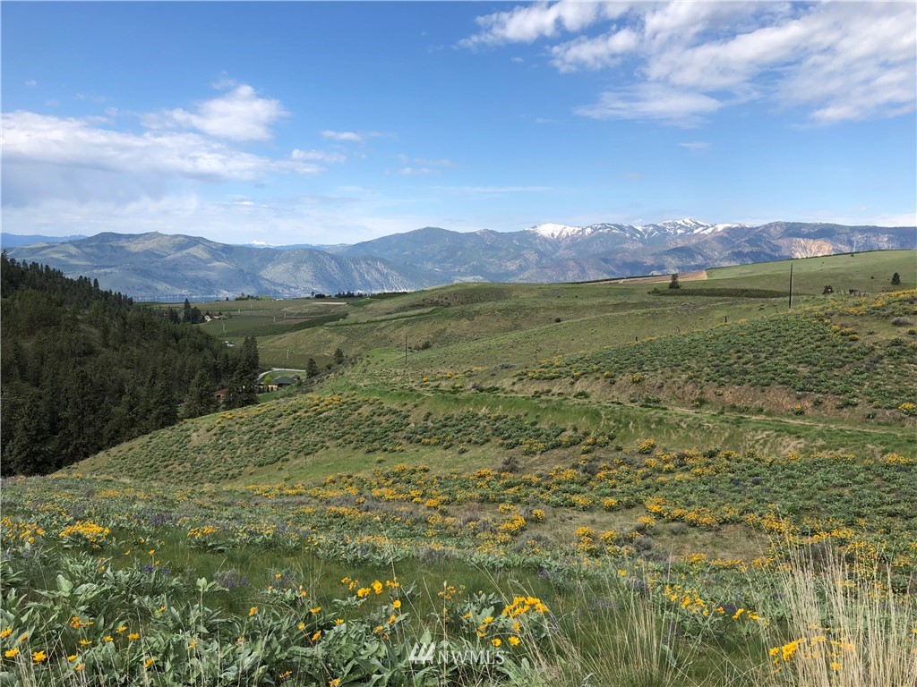156 Purtteman Gulch Road Chelan, WA 98816 - Photo 9 of 9 Gallery Image 9