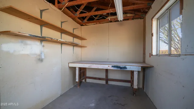 a view of a garden with large trees