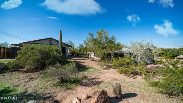 a view of a pathway both side of yard