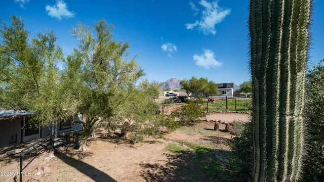 a view of backyard with green space