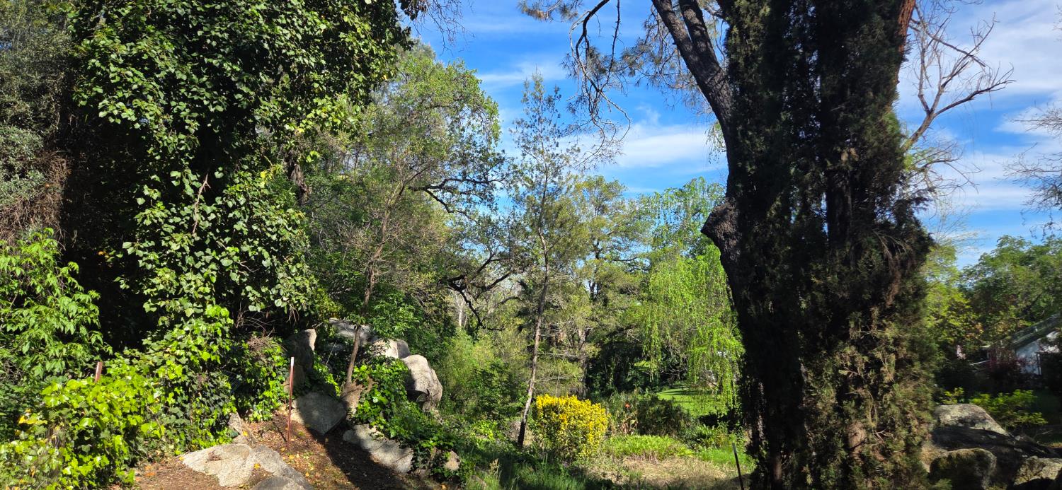 1661 Taylor Road Penryn, CA 95663 - Photo 4 of 16 a view of a garden