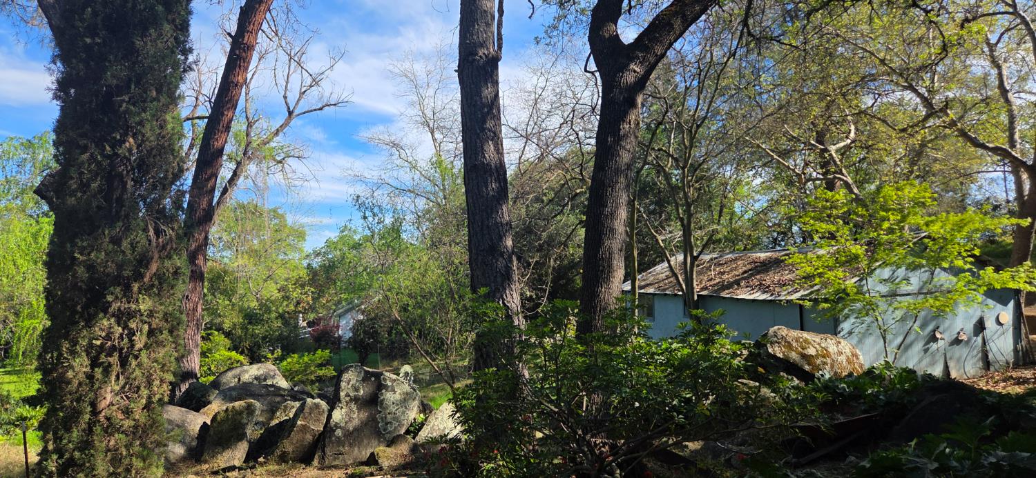 1661 Taylor Road Penryn, CA 95663 - Photo 5 of 16 a view of a garden