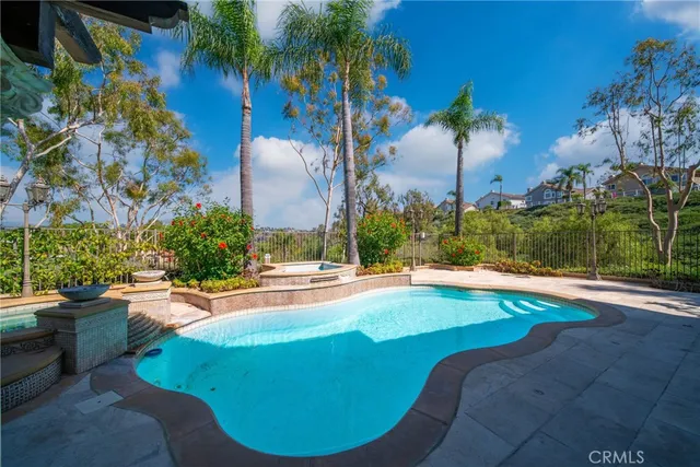 a view of a swimming pool with a yard and palm trees