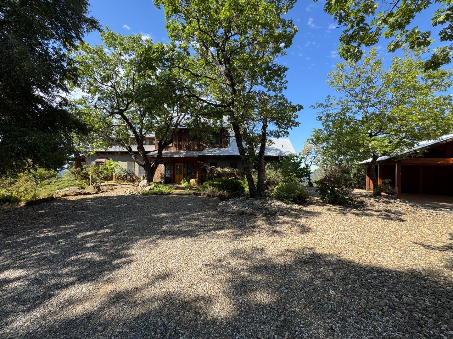 2251 Folendorf Road Murphys, CA 95247 - Photo 2 of 39 a view of a yard with plants and trees