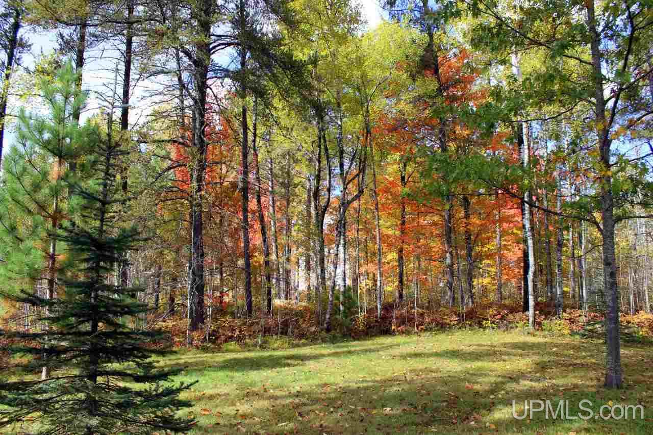 4952 Co Road Champion, MI 49814 - Photo 27 of 36