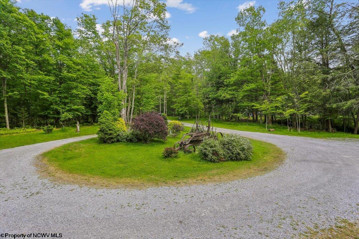 551 Sand Run Road Davis, WV 26260 - Photo 36 of 44 Gallery Image 36