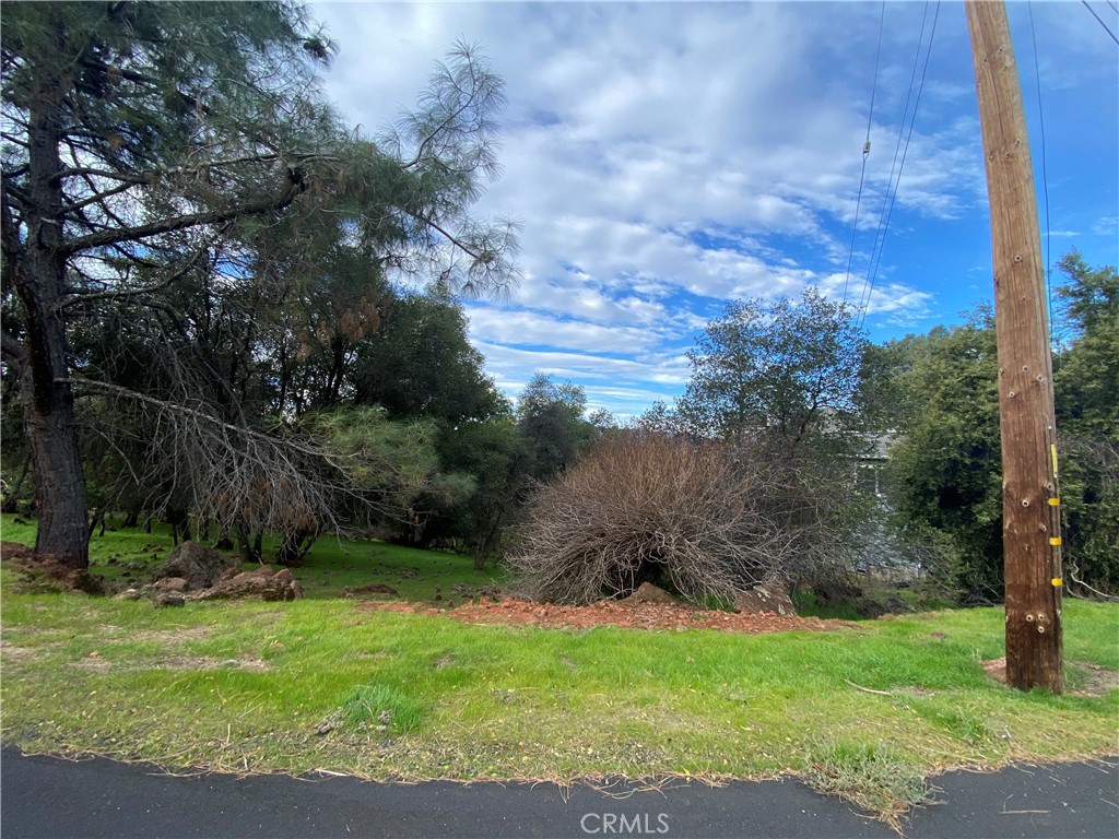 15749 Little Peak Road Hidden Valley Lake, CA 95467 - Photo 2 of 4 a view of a backyard