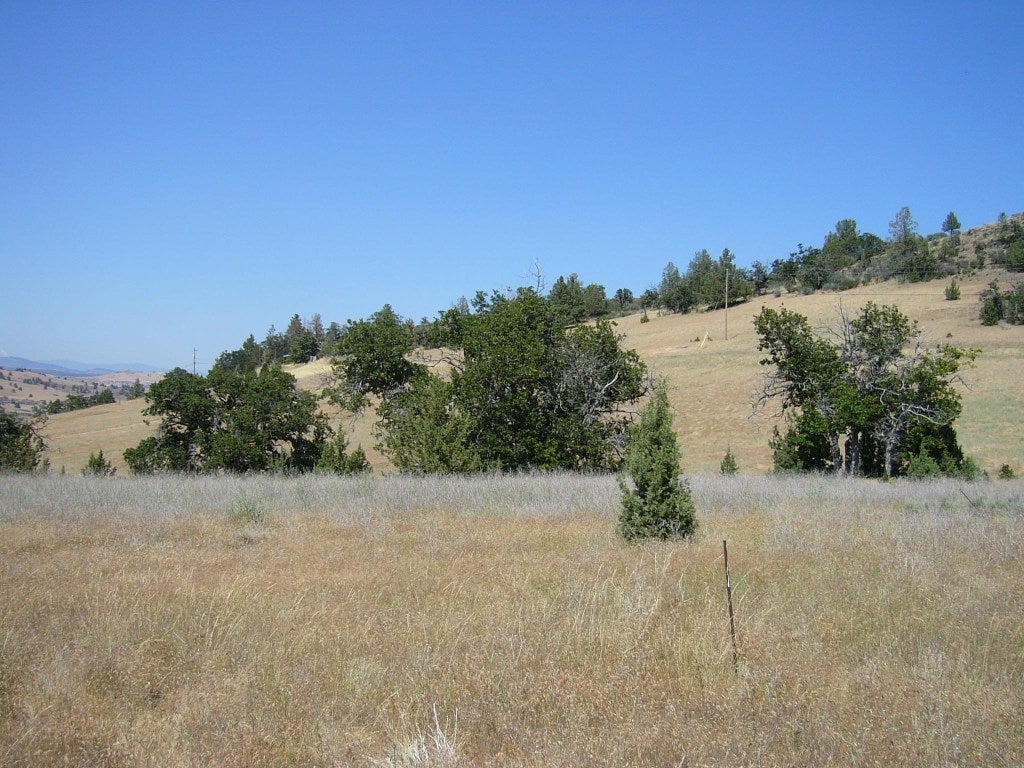 10 Acres Omega Road Montague, CA 96064 - Photo 14 of 16 Gallery Image 14