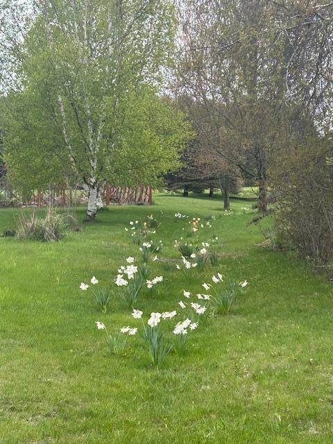 E7009 Jackson Road Algoma, WI 54201 - Photo 62 of 69 Gallery Image 62