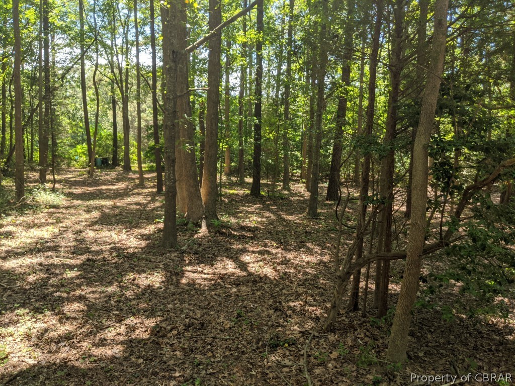 0 North River Road Gloucester, VA 23061 - Photo 8 of 15