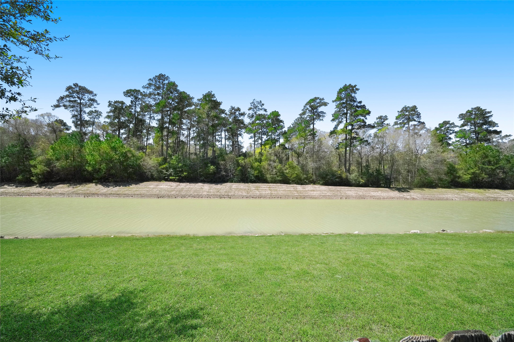 438 Oak Gate Drive Conroe, TX 77304 - Photo 18 of 18 a view of outdoor space and yard
