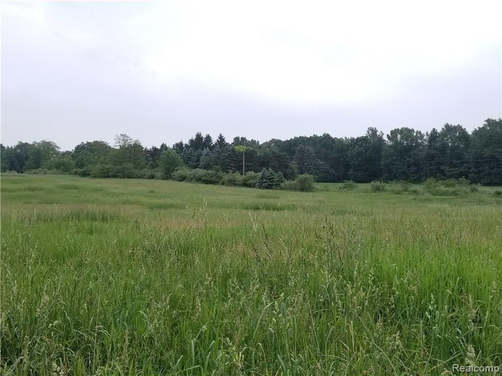 Parcel N Weller Gregory, MI 48137 - Photo 1 of 26
