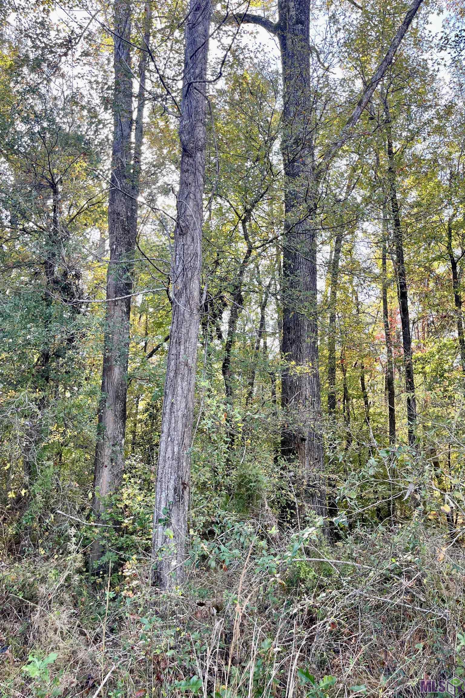 5 Stampley Road Roxie, MS 39661 - Photo 22 of 36