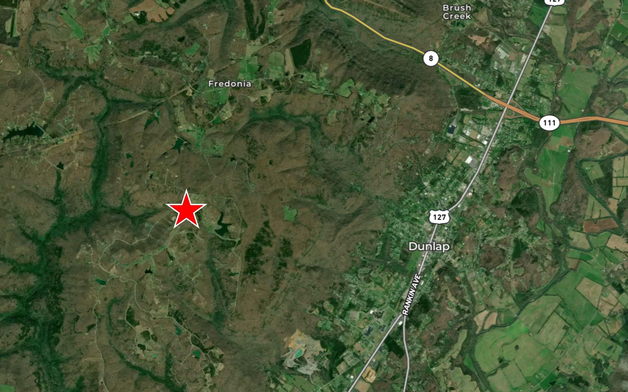 254 Roaring Creek Road Dunlap, TN 37327 - Photo 8 of 17 a backyard of a house with lots of green space and a forest