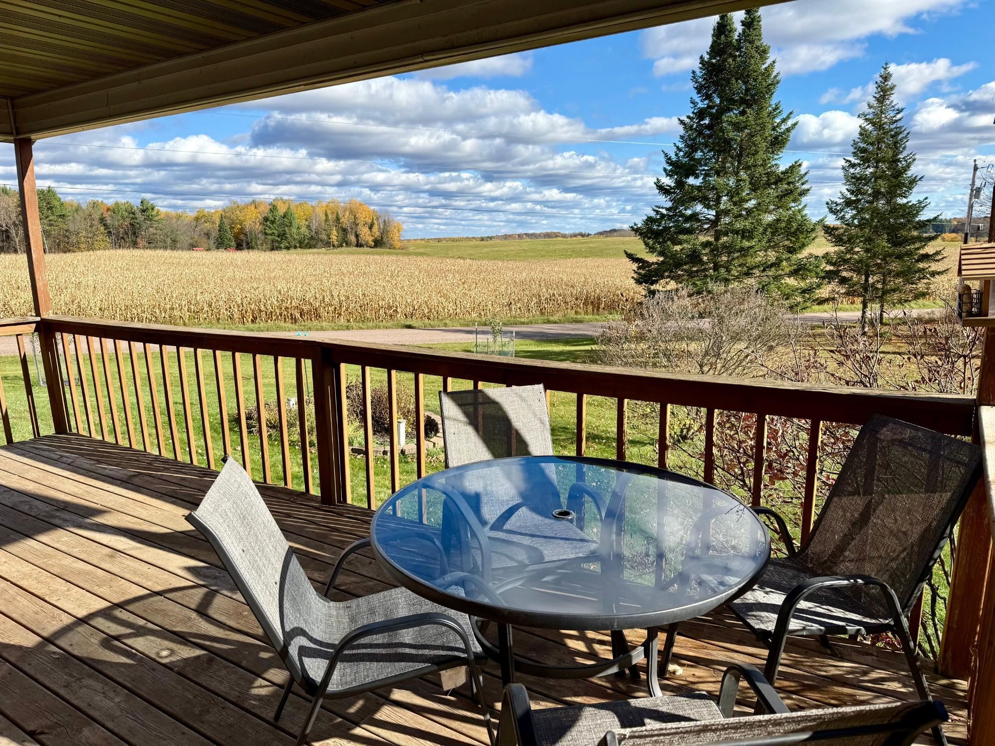 N1979 South West Road Ogema, WI 54459 - Photo 11 of 60