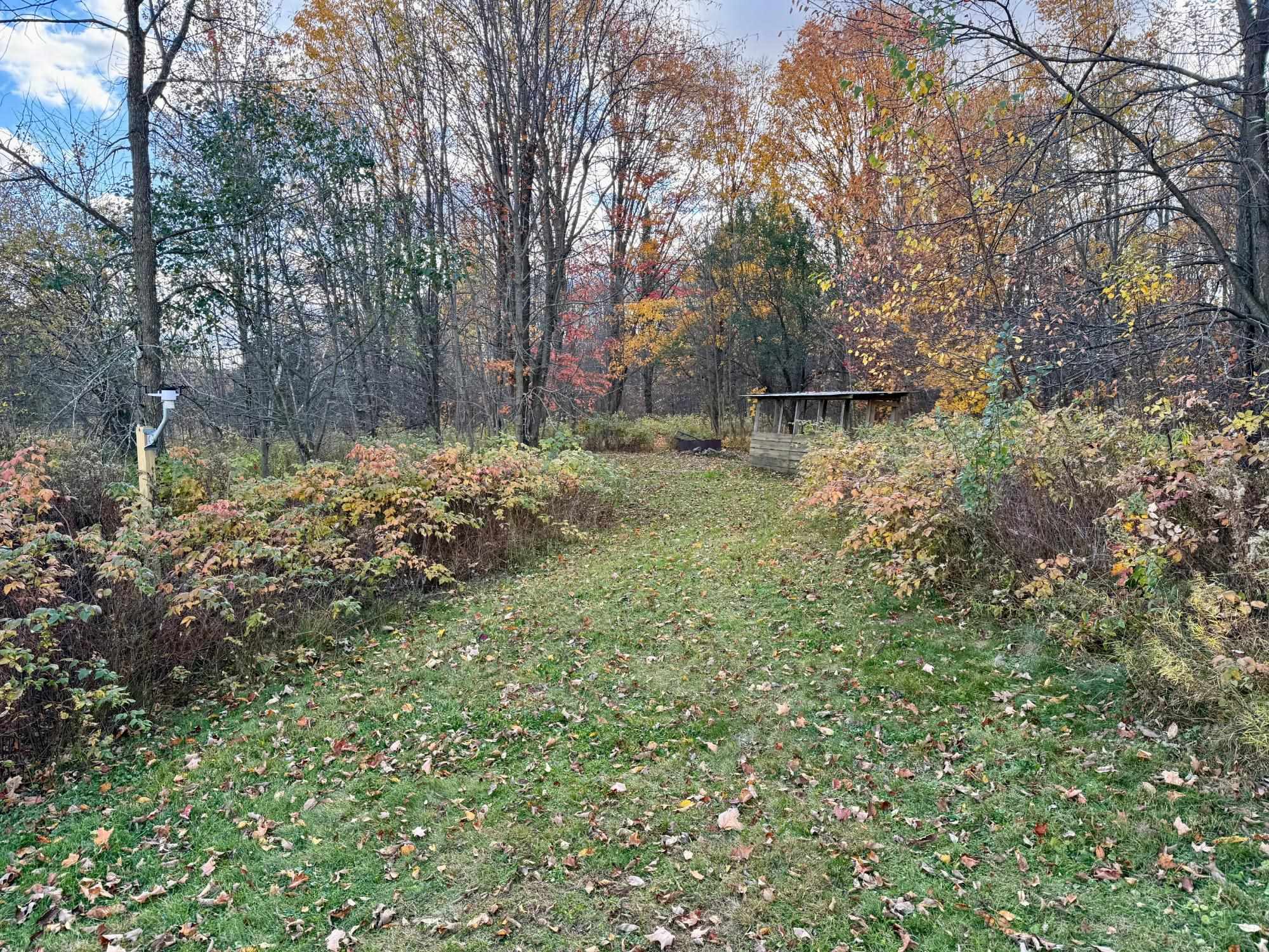 N1979 South West Road Ogema, WI 54459 - Photo 45 of 60