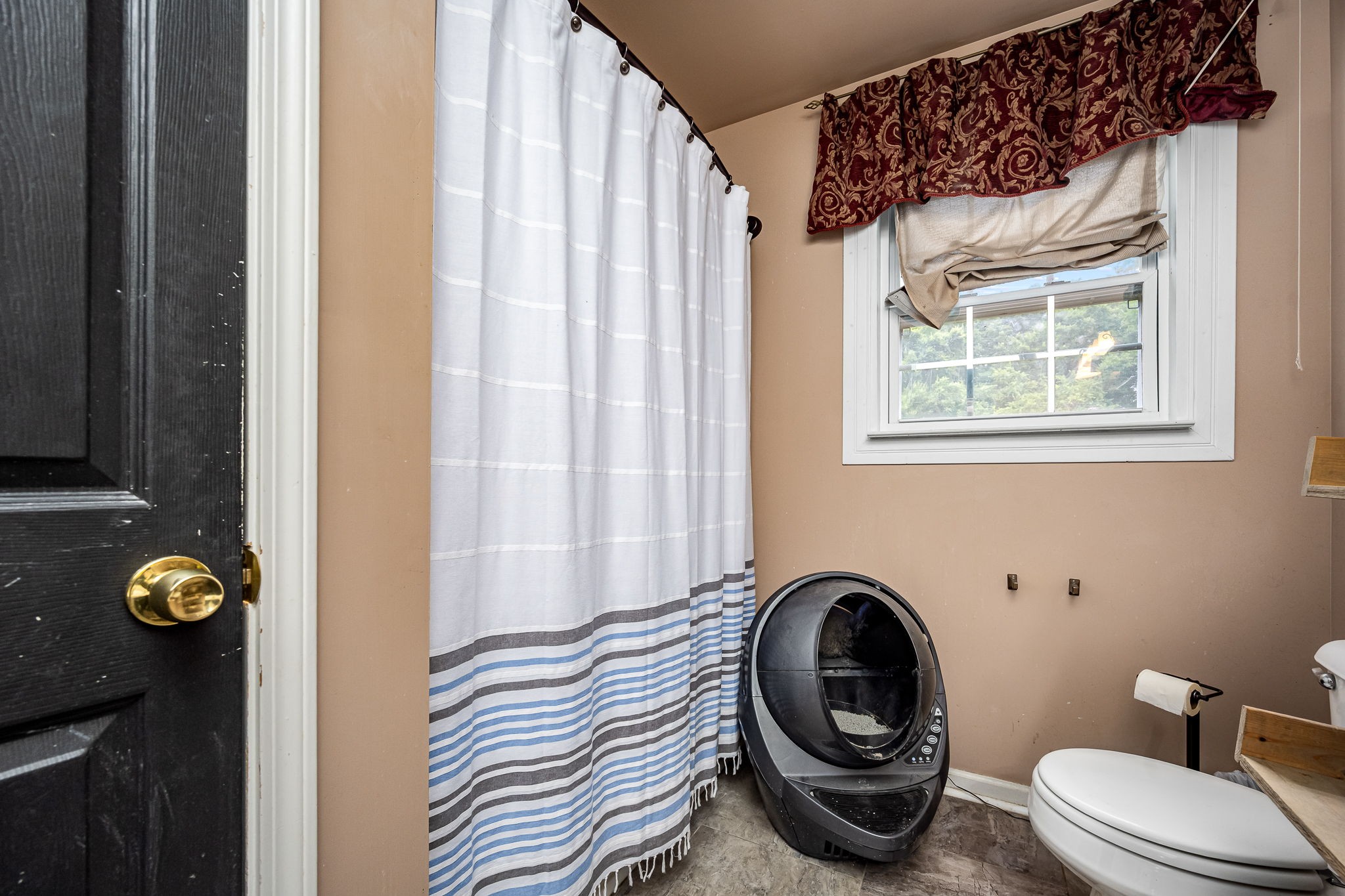 4842 Lunns Store Road Chapel Hill, TN 37034 - Photo 41 of 52 a bathroom with a toilet and a shower