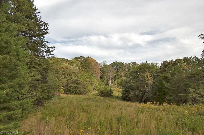 4.5-ac Forsyth Line Road Rural Hall, NC 27045 - Photo 3 of 17
