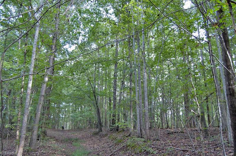 4.5-ac Forsyth Line Road Rural Hall, NC 27045 - Photo 4 of 17