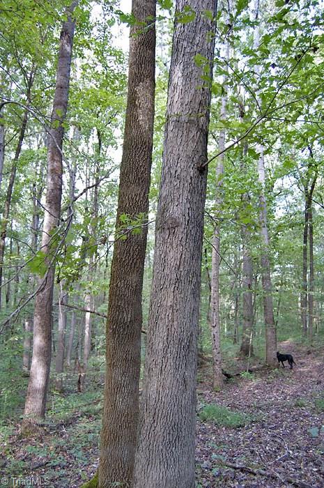 4.5-ac Forsyth Line Road Rural Hall, NC 27045 - Photo 5 of 17