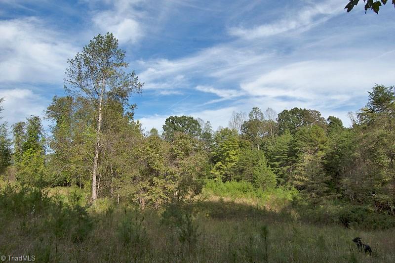4.5-ac Forsyth Line Road Rural Hall, NC 27045 - Photo 6 of 17