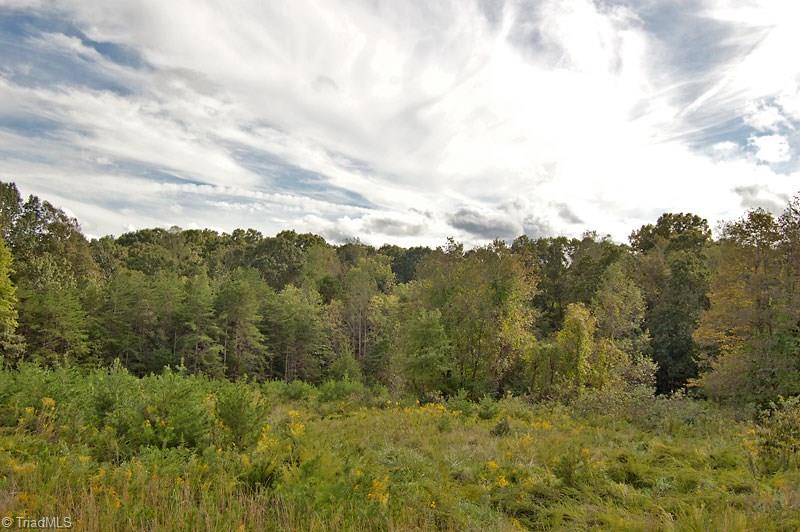 4.5-ac Forsyth Line Road Rural Hall, NC 27045 - Photo 7 of 17